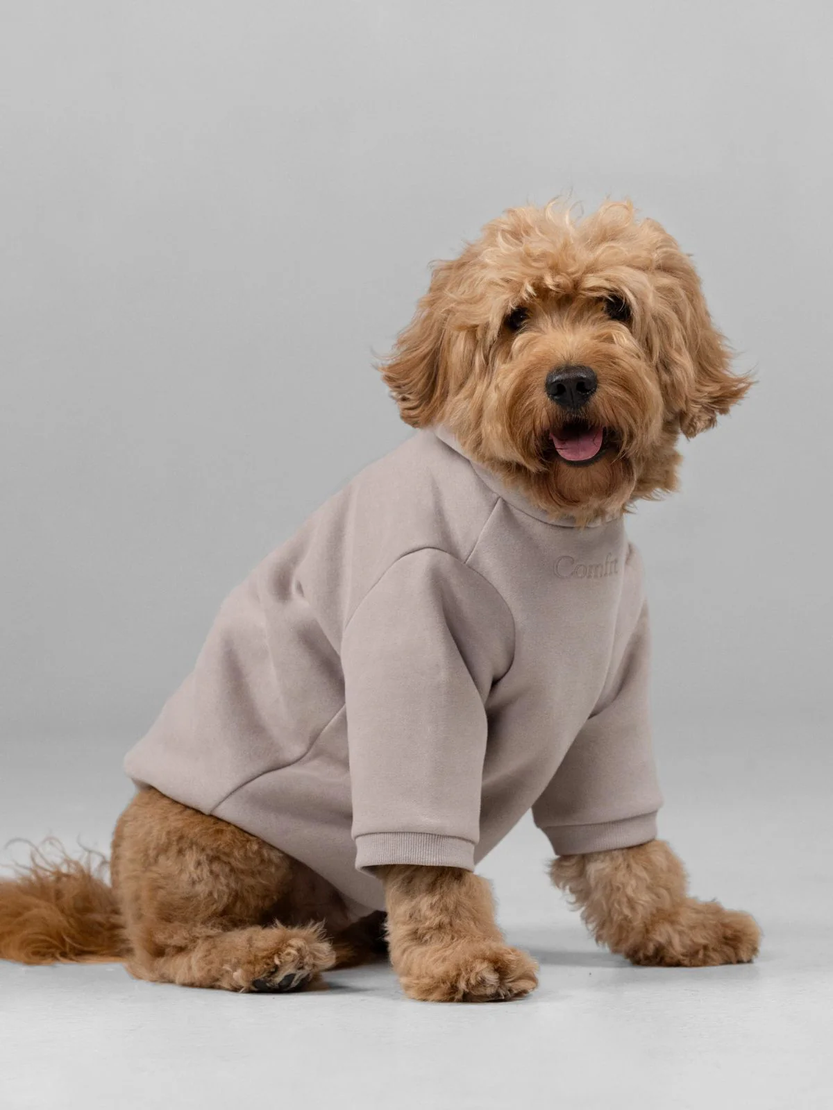 Signature Paw Hoodie - Image 10