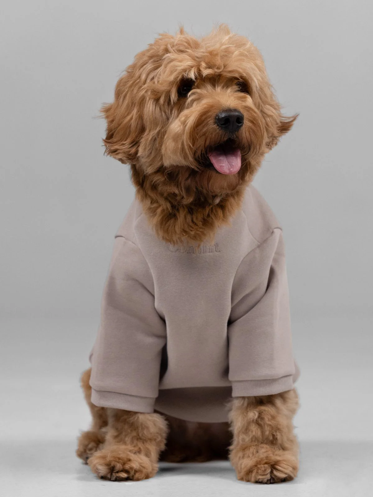 Signature Paw Hoodie - Image 11