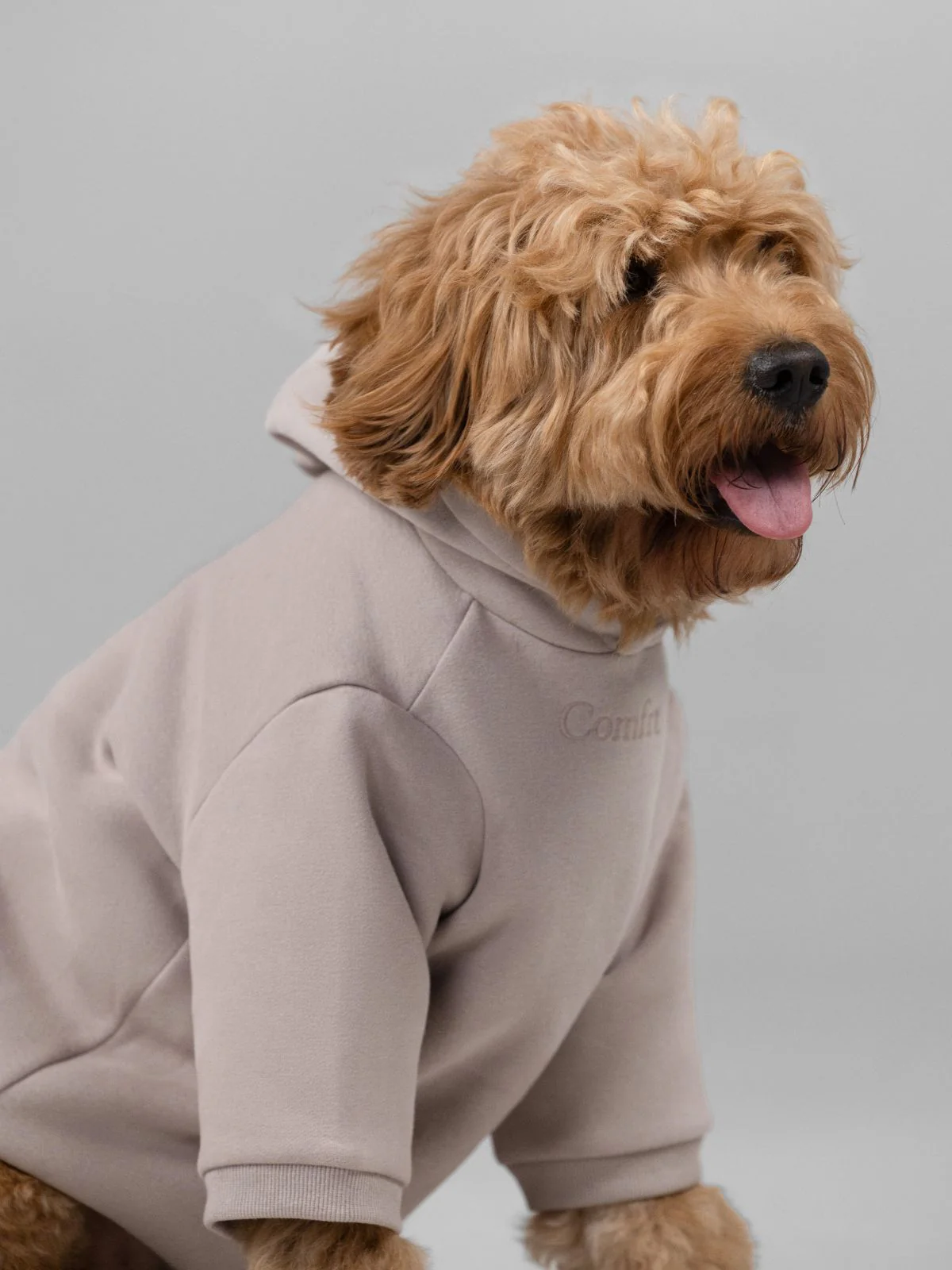 Signature Paw Hoodie - Image 13