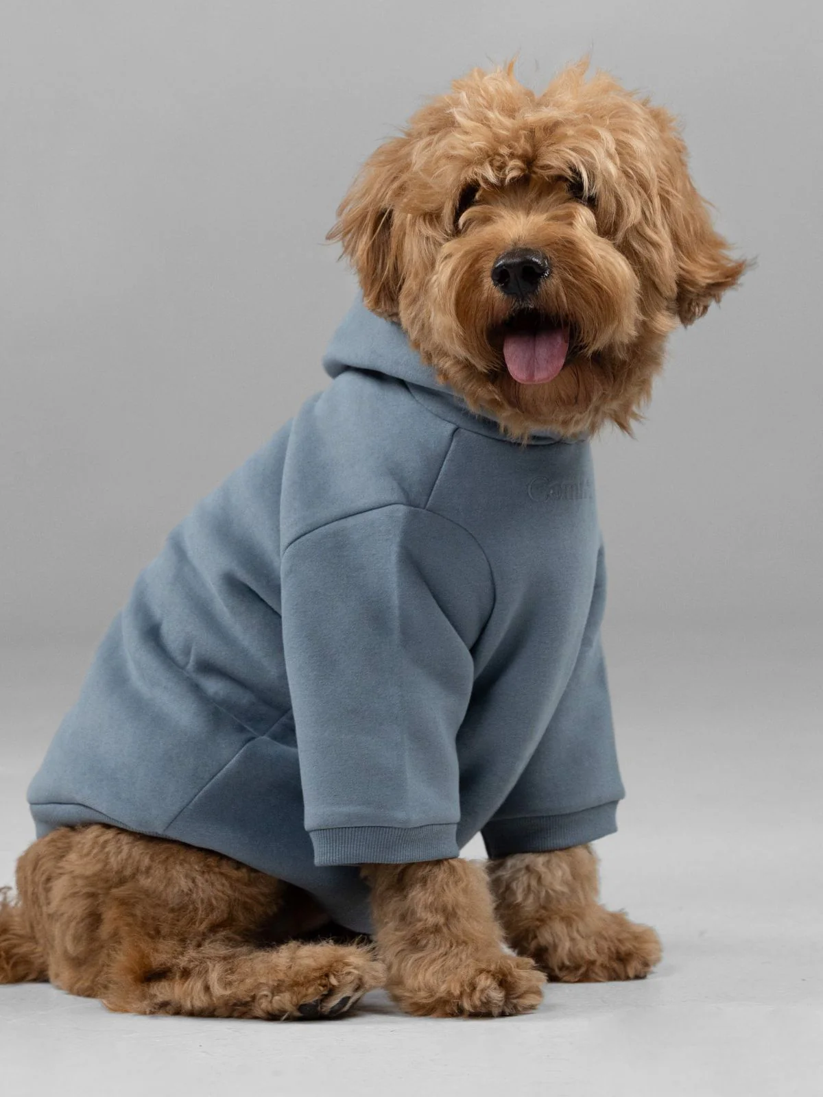 Signature Paw Hoodie - Image 14