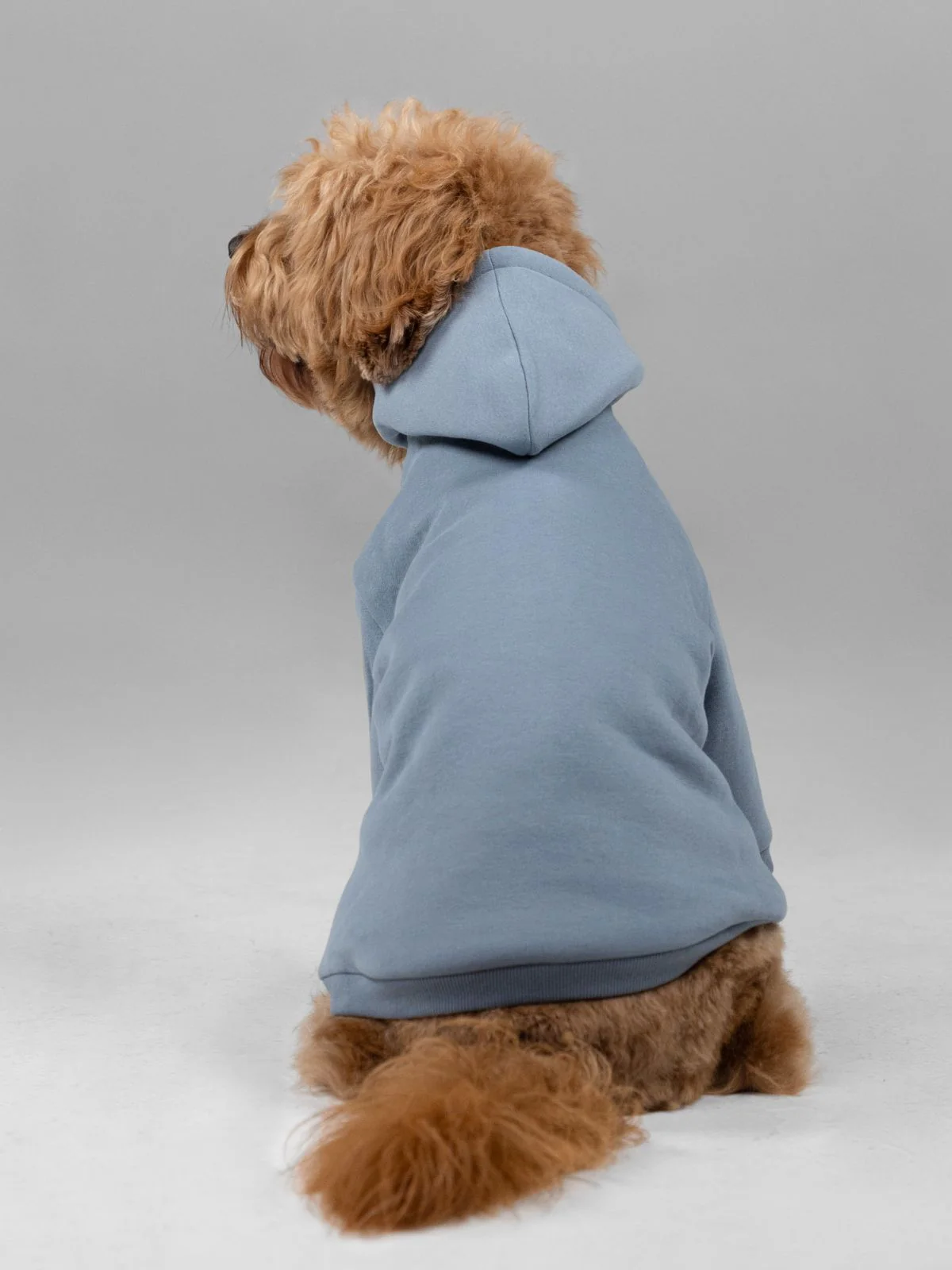 Signature Paw Hoodie - Image 15