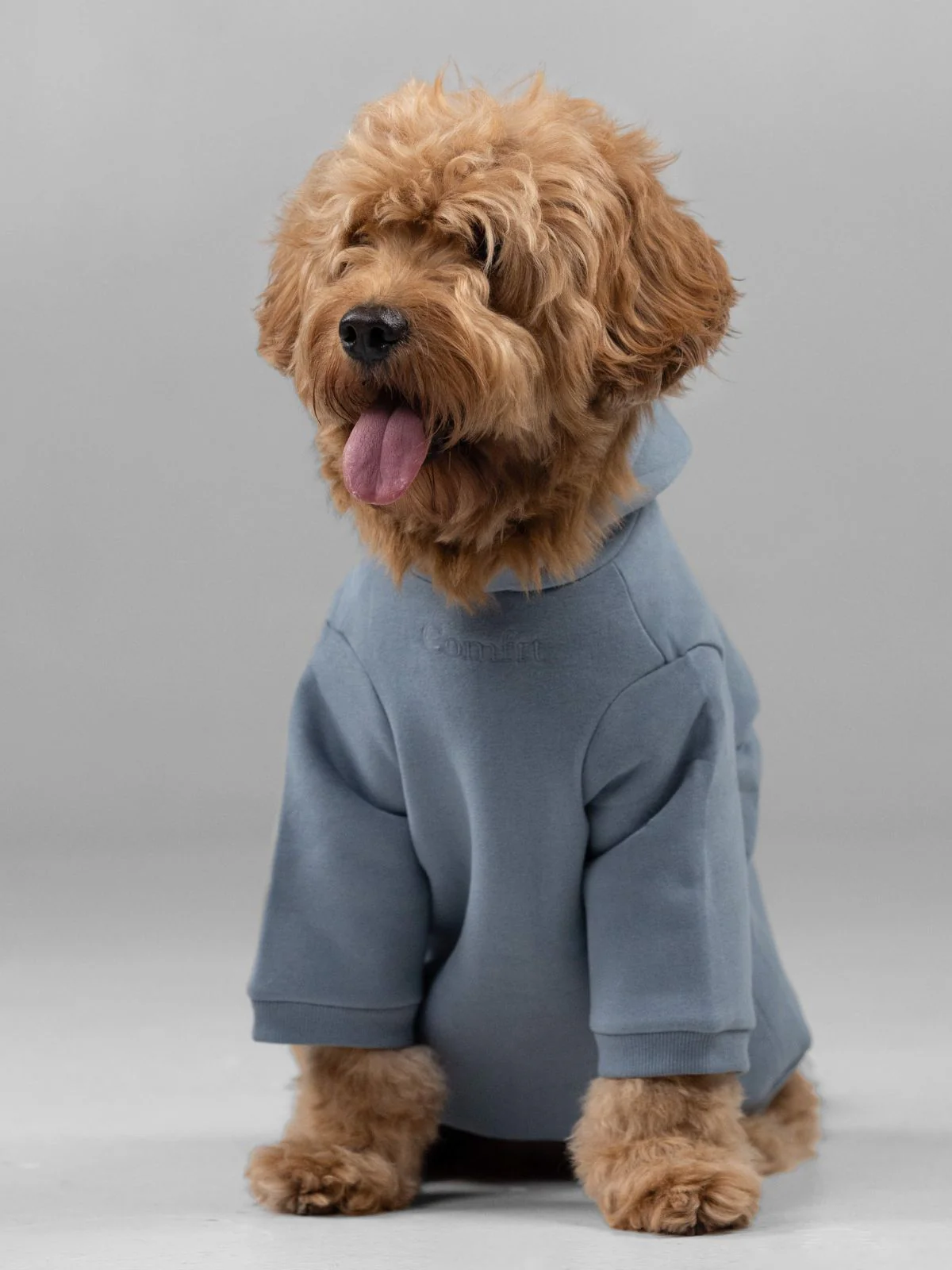 Signature Paw Hoodie - Image 17