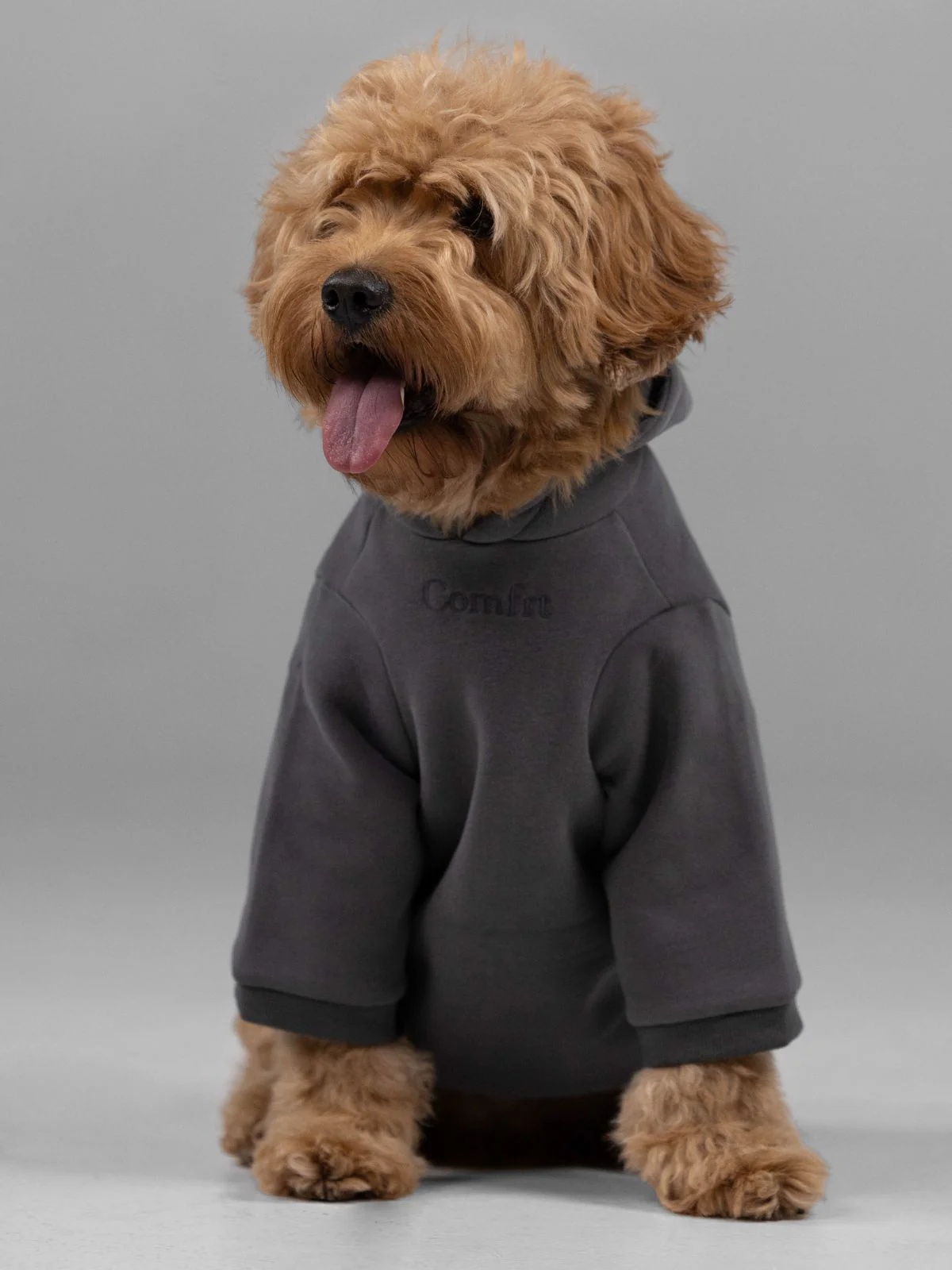 Signature Paw Hoodie - Image 3