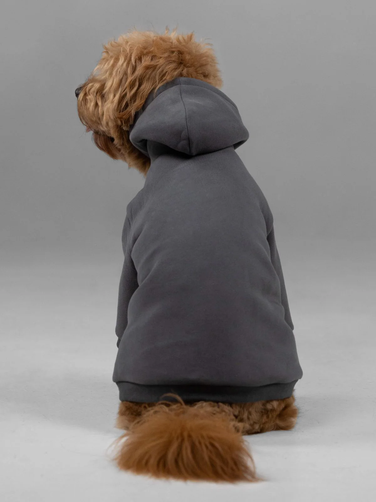 Signature Paw Hoodie - Image 4