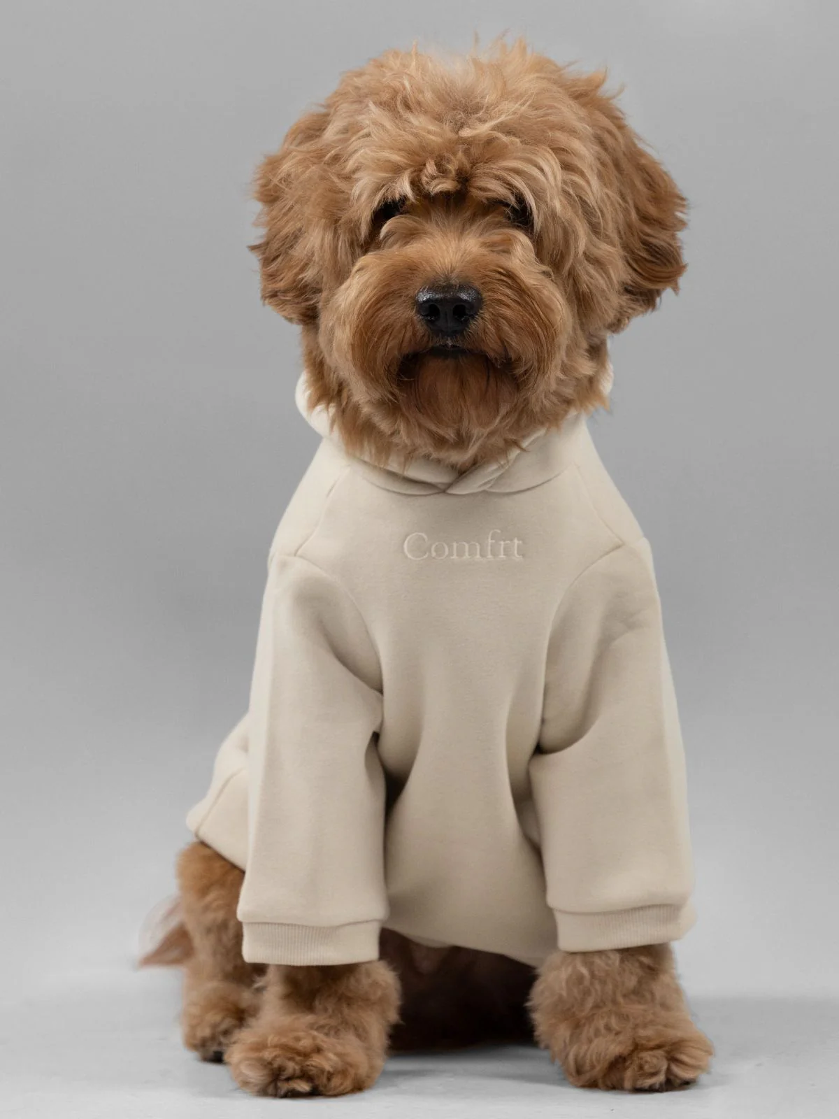 Signature Paw Hoodie - Image 5