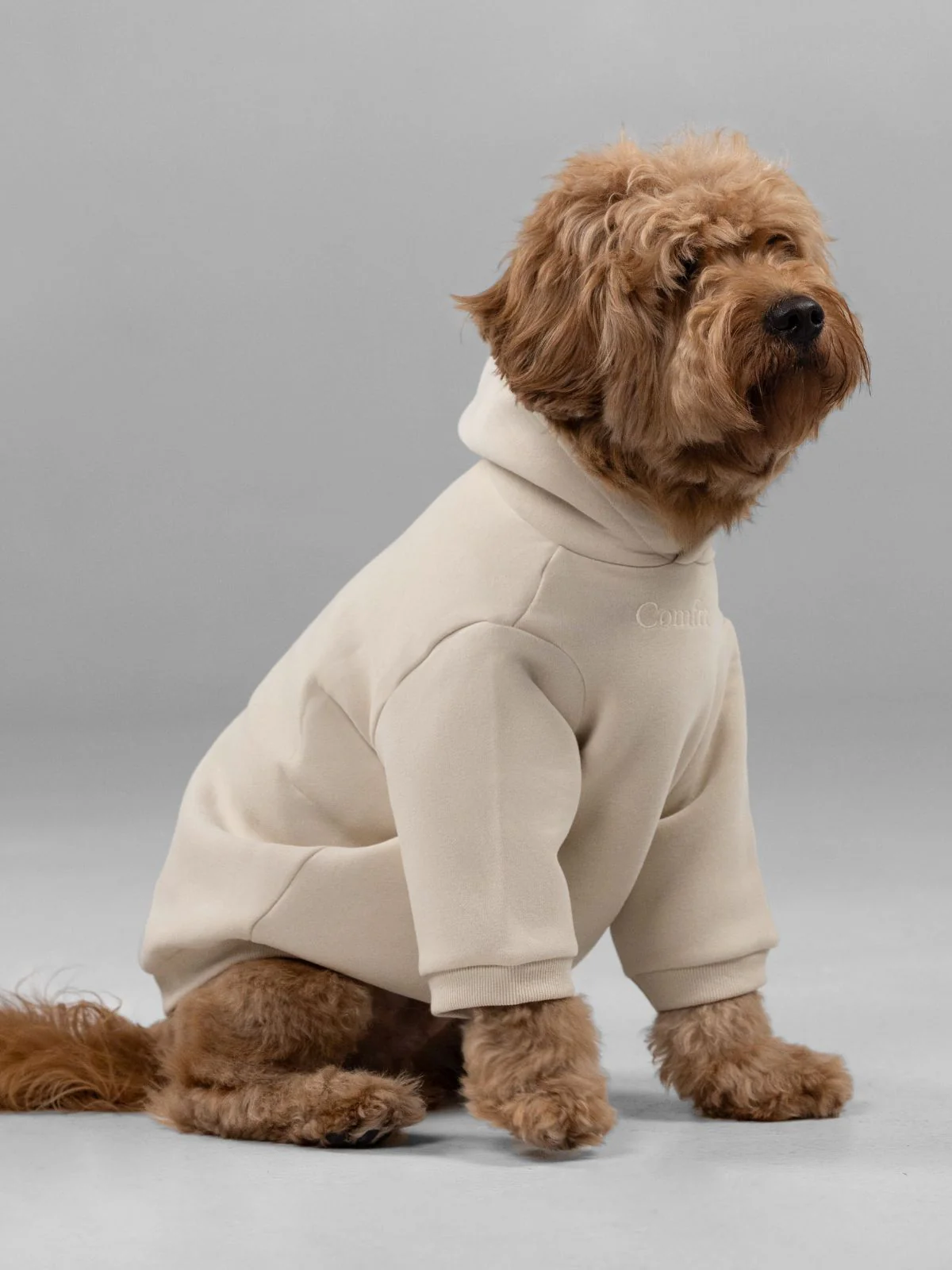 Signature Paw Hoodie - Image 6