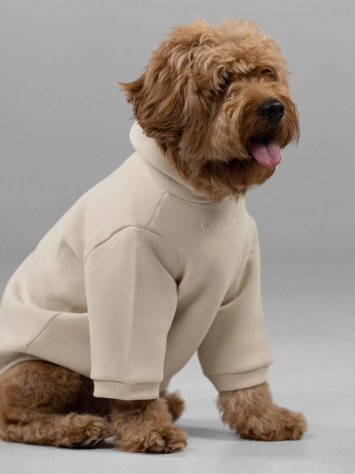 Signature Paw Hoodie - Image 8