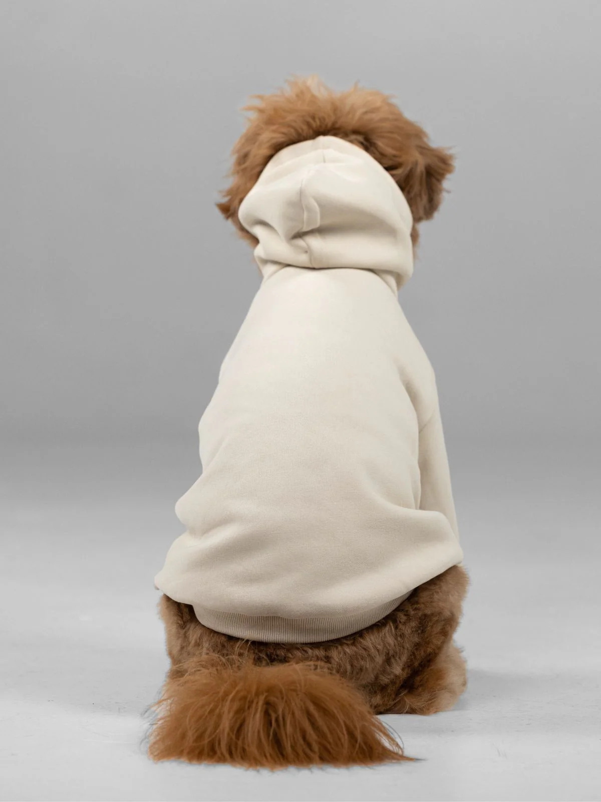 Signature Paw Hoodie - Image 9
